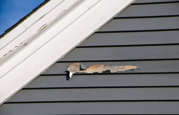 How To Choose The Right Materials for Your Siding Installation in 'Douglas, AL